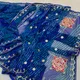 Blue__SABHYAKRITI SAREES