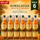 Pack Of 6__HIMALAYAN BUCKTHORN