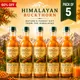 Pack Of 5__HIMALAYAN BUCKTHORN