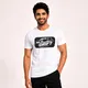 White__FUNKY BEAR