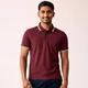 Maroon__FUNKY BEAR