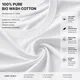 White__FUNKY BEAR