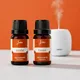Natural__JUDEX FRAGRANCE