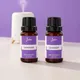 Natural__JUDEX FRAGRANCE