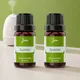 Natural__JUDEX FRAGRANCE