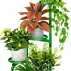 Green__NU INVENTION 