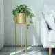 Gold__NU INVENTION 