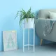 White__NU INVENTION 