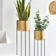 Gold__NU INVENTION