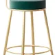 Green__NU INVENTION 