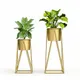 Green__NU INVENTION 