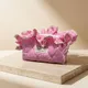 Soft Pink__HAUS OF KUDI 