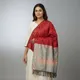 Multicolor__IKKATHAV