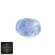 Natural Blue__RAGHAV CREATIONS