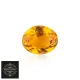 yellow__RAGHAV CREATIONS
