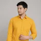 Mustard Yellow