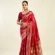 Red__HOUSE OF JIVONA