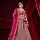Pink__SUDARSHANSAREE.IN