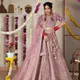 Pink__SUDARSHANSAREE.IN