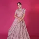 Pink__SUDARSHANSAREE.IN