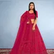 Red__SUDARSHANSAREE.IN