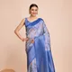 Blue__SUDARSHANSAREE.IN