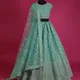 Green__SUDARSHANSAREE.IN