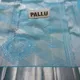 Blue__SUDARSHANSAREE.IN
