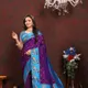 Purple__SUDARSHANSAREE.IN