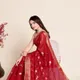 Red__SUDARSHANSAREE.IN