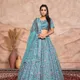 Blue__SUDARSHANSAREE.IN