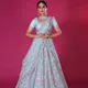 Grey__SUDARSHANSAREE.IN