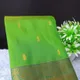ParrotGreen__SUDARSHANSAREE.IN