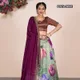 Multicolor__SUDARSHANSAREE.IN