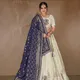 Blue__SUDARSHANSAREE.IN