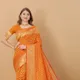 Orange__SUDARSHANSAREE.IN