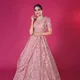 Pink__SUDARSHANSAREE.IN