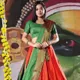 Orange__SUDARSHANSAREE.IN