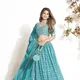 Blue__SUDARSHANSAREE.IN