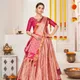 Pink__SUDARSHANSAREE.IN