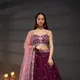 Purple__SUDARSHANSAREE.IN