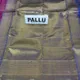 Pink__SUDARSHANSAREE.IN