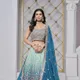 Blue__SUDARSHANSAREE.IN