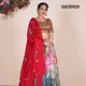 Multicolor__SUDARSHANSAREE.IN