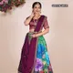 Multicolor__SUDARSHANSAREE.IN