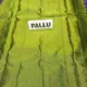 Blue__SUDARSHANSAREE.IN