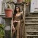 Brown__SUDARSHANSAREE.IN