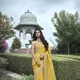 Yellow__SUDARSHANSAREE.IN