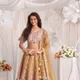 Gold__SUDARSHANSAREE.IN