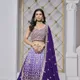Blue__SUDARSHANSAREE.IN